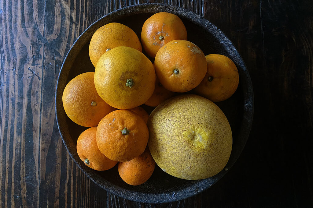 柑橘4種類